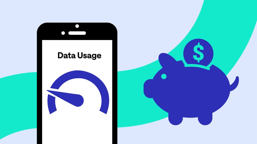 How Much Data Do You Really Need? Could You Save $$$?